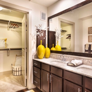 Dual sink granite vanity and walk-in closet in 2 bedroom model