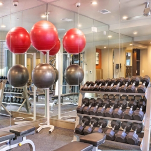fitness center free weights and pilates balls