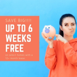 Save Big Up to 6 weeks free