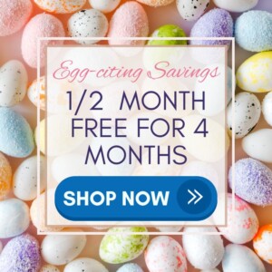 1/2 off for 4 months
