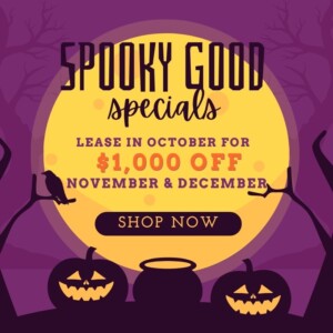 1,000 off November and December